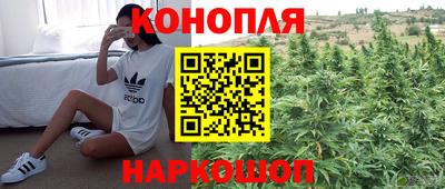 ешки Партизанск