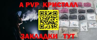 шишки Пенза